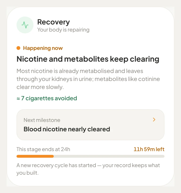 The Tinyo recovery timeline card showing the current stage and what comes next